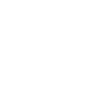 LIG_GROUP_Logo_W